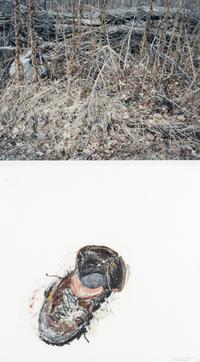 War Monody, Autumn, Series 3, #5 (diptych) , 2008