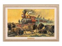 Railroad Targets Shoots On The Buffalo Plains