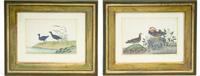 A Pair of Chinese Export Pith Paintings Mounted as Side Tables