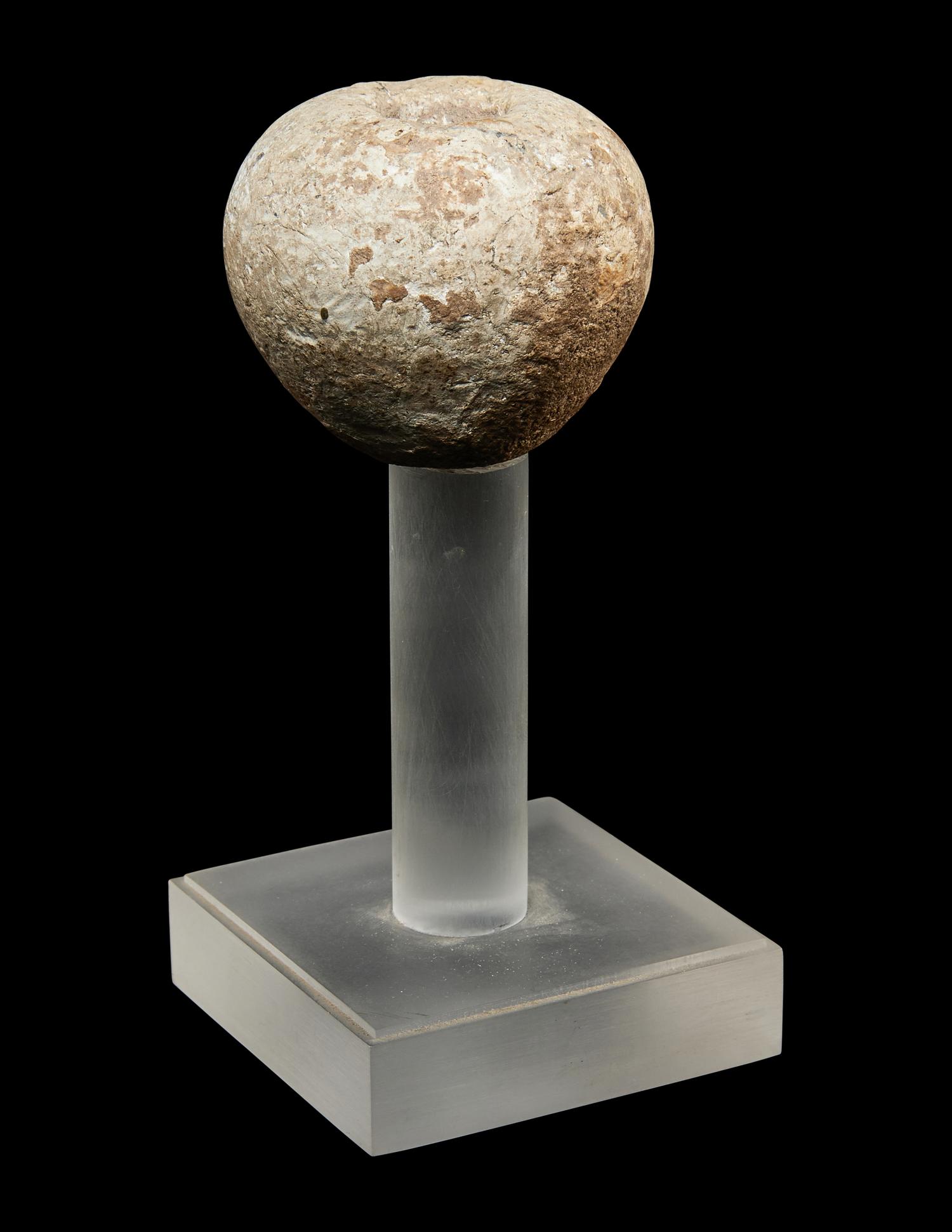 An Egyptian Hard Hand Stone Pestle and Mace Head