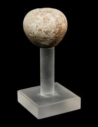 An Egyptian Hard Hand Stone Pestle and Mace Head