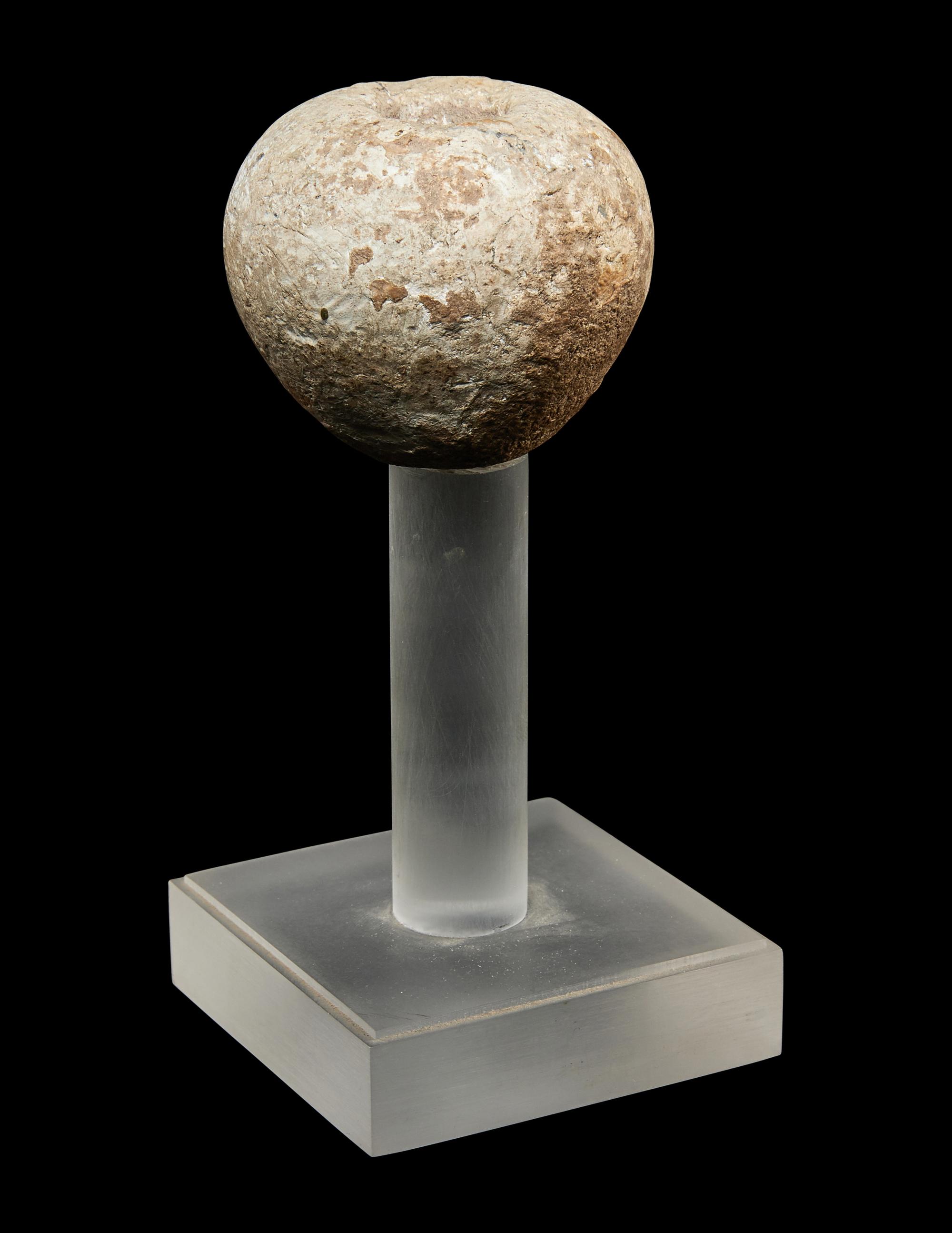 An Egyptian Hard Hand Stone Pestle and Mace Head