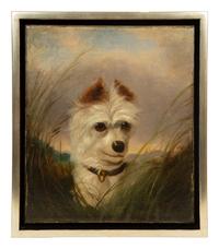 Terrier