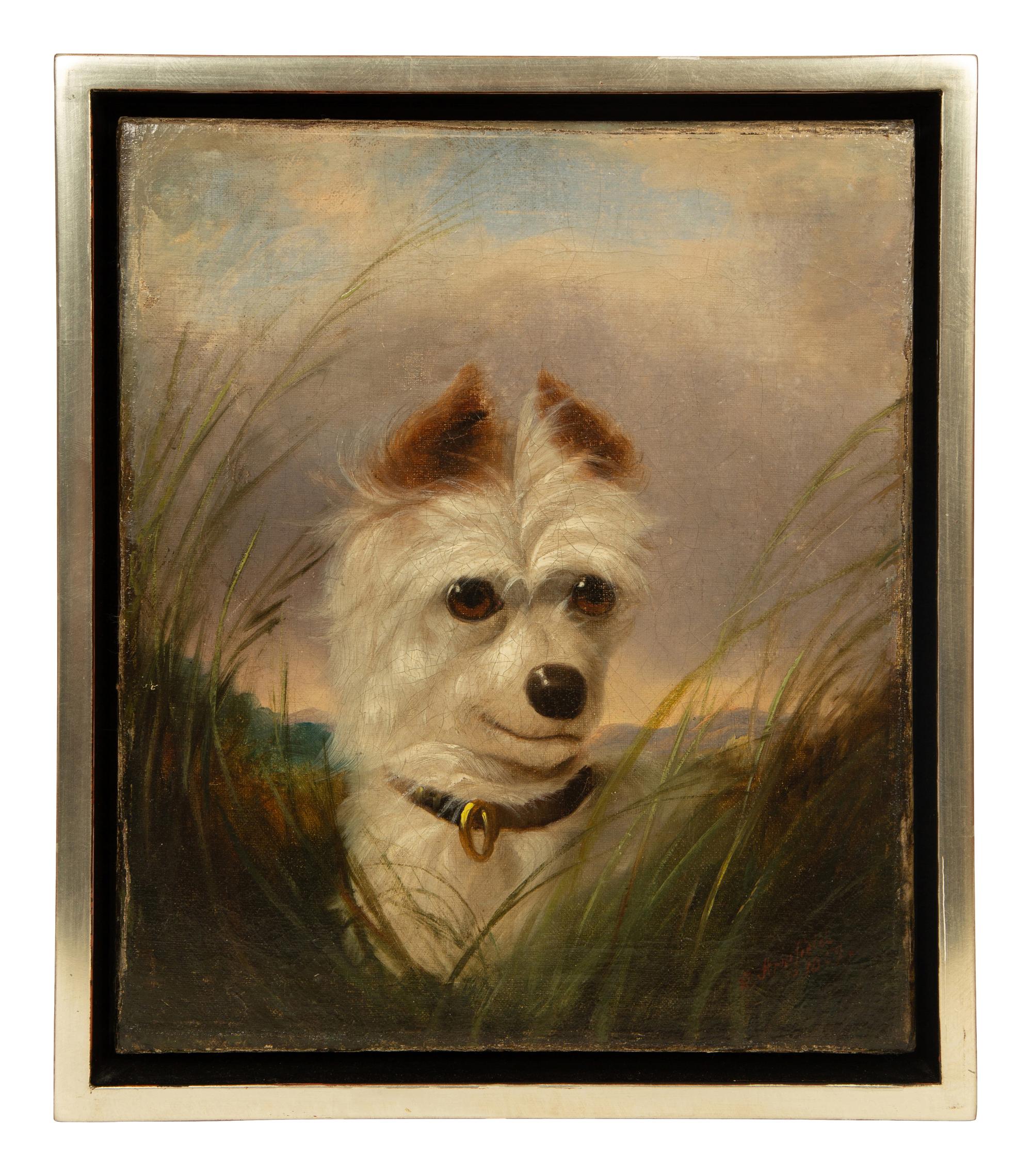 Terrier