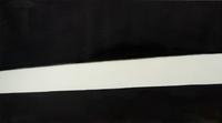 Dark and Light (with homage to Manet) 1985-1986, 1991