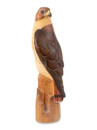 Red Tailed Hawk, Master's Edition