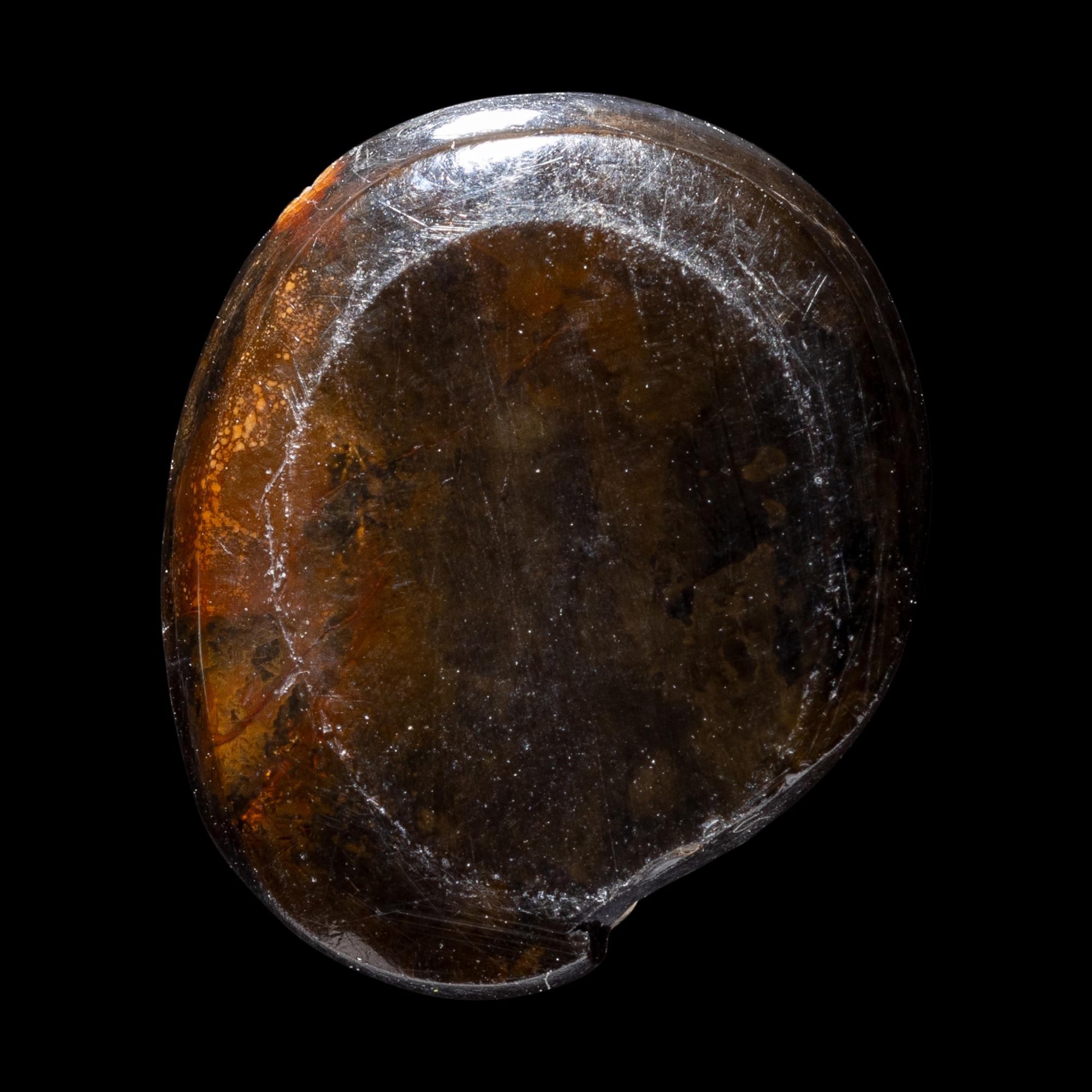 A Roman Sardonyx Ring Stone with a Pygmy and Locust