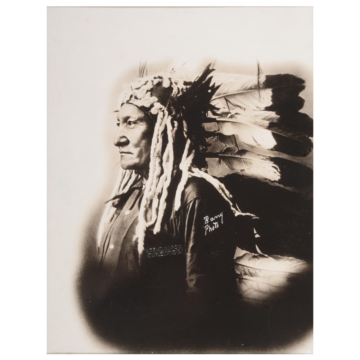 Sitting Bull Photograph by D.F. Barry