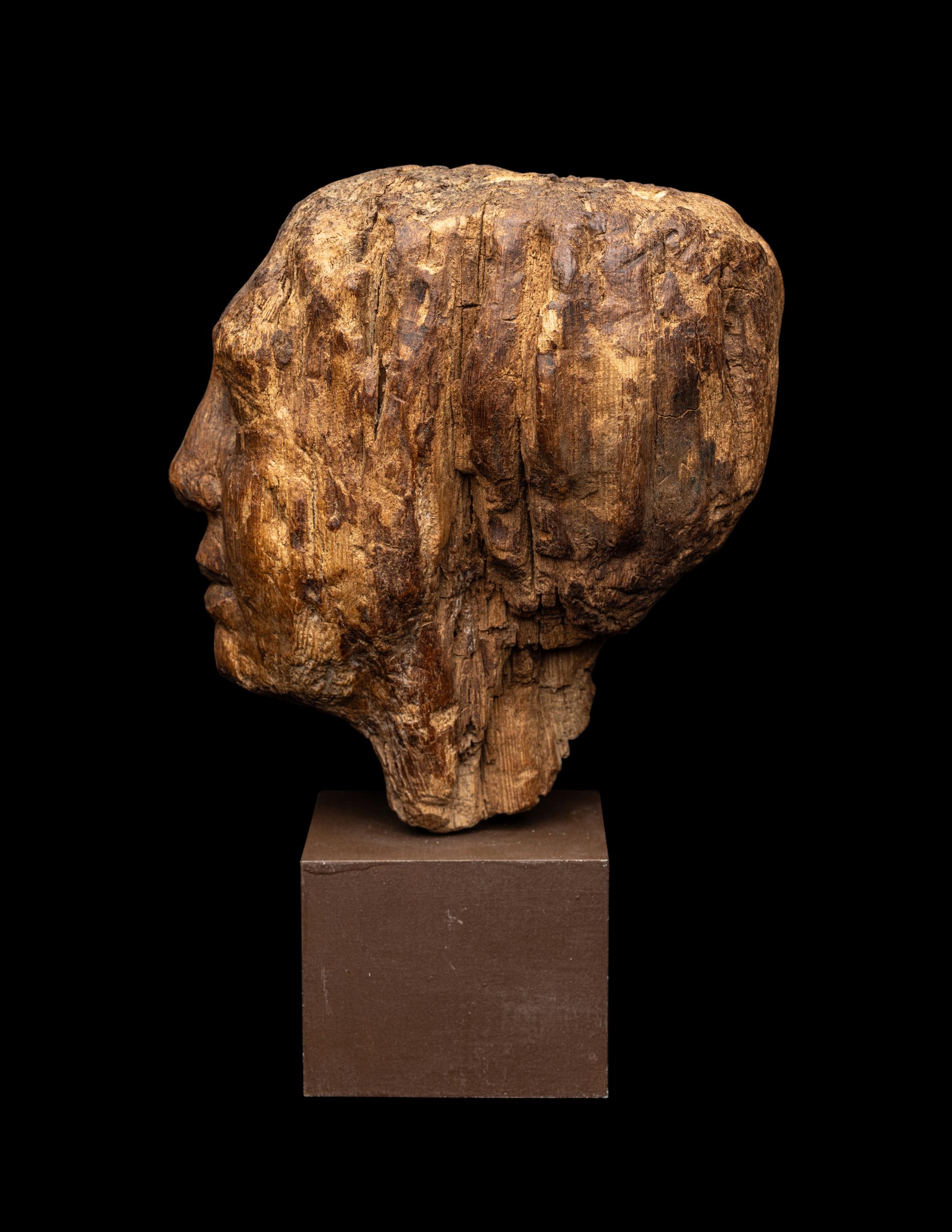 An Egyptian Wood Head of a Priest