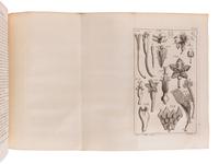 ADAMS, George (1750-1795). Micrographia Illustrata, or the Microscope Explained .... London: for the author, 1747.