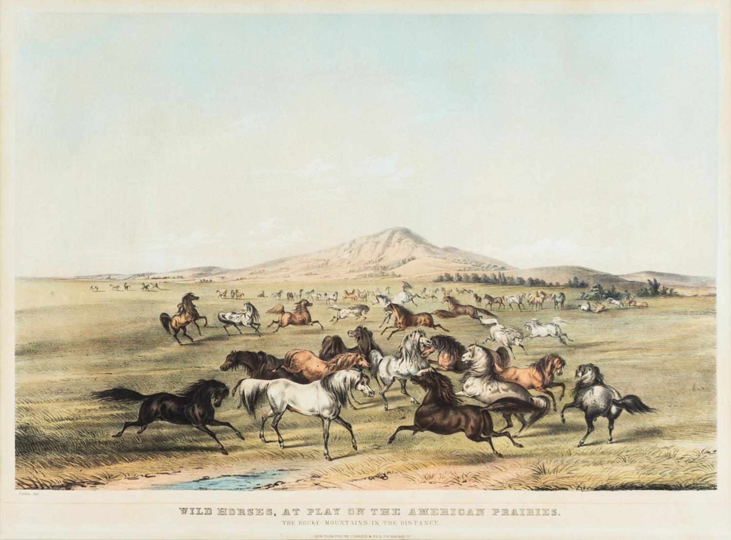 CURRIER & IVES. Wild Horses, at Play on the American Prairies. New York, c. 1835. Litho. with hand-coloring.