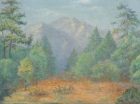 Tauquitz Peak, Idylwood, Calif