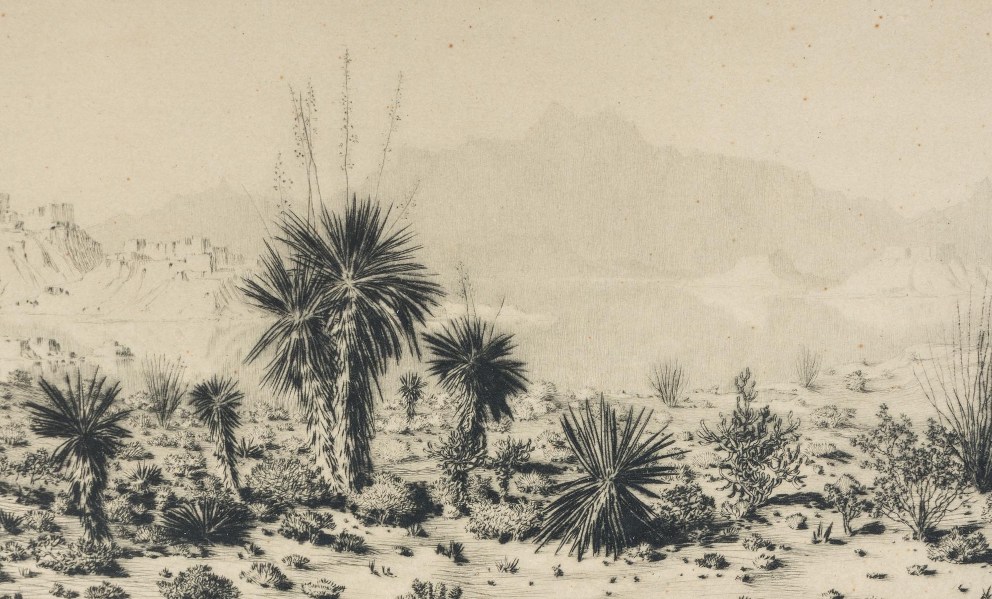 A Mirage – Arizona