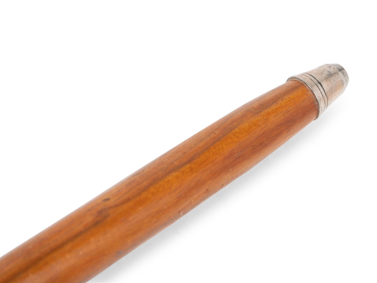 Two Metal Mounted Walking Sticks