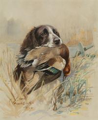 Wolferton Titus Retrieving Curlew; Retriever With Duck; Yellow Labrador With Duck (three works)