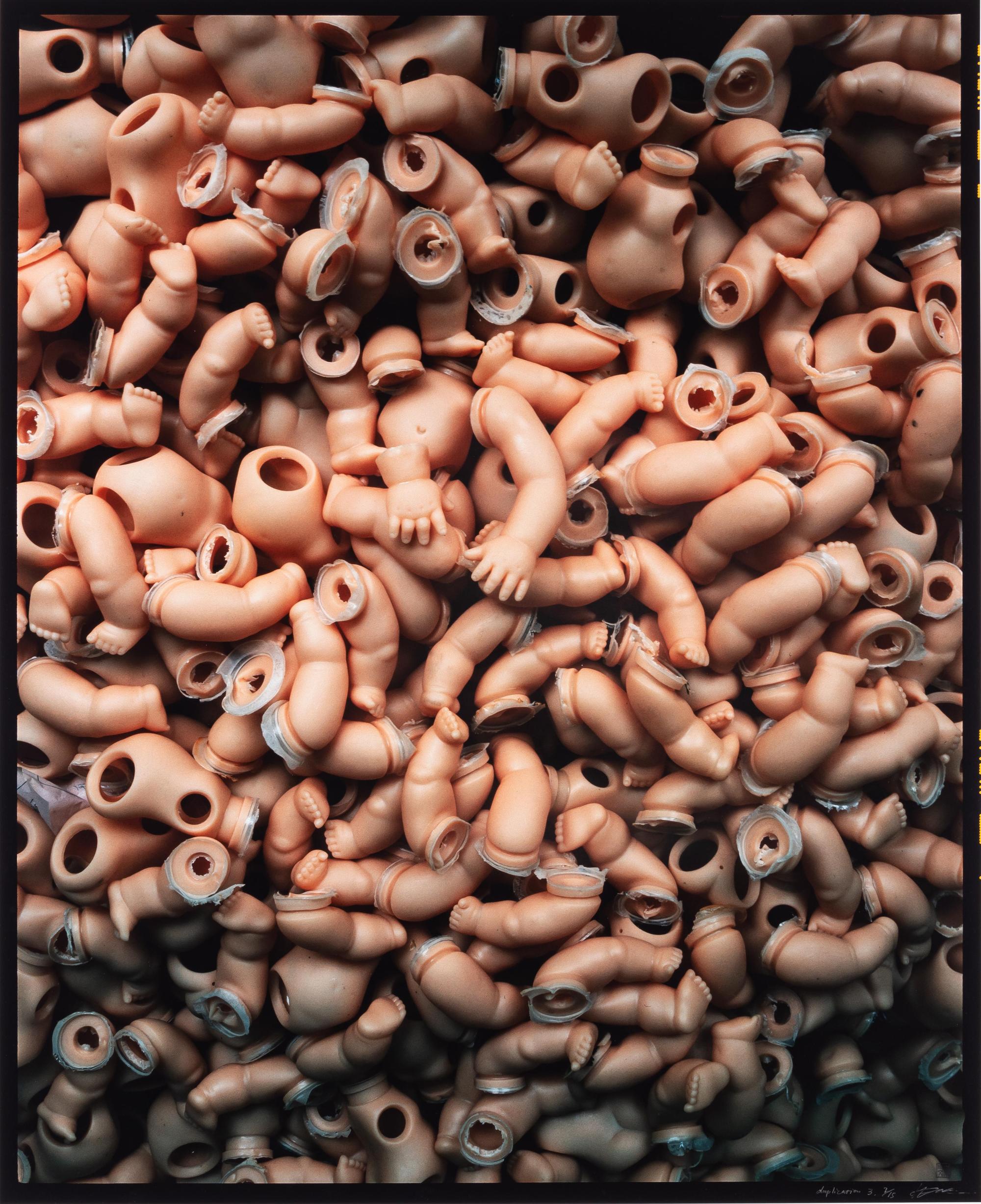 Duplication 3