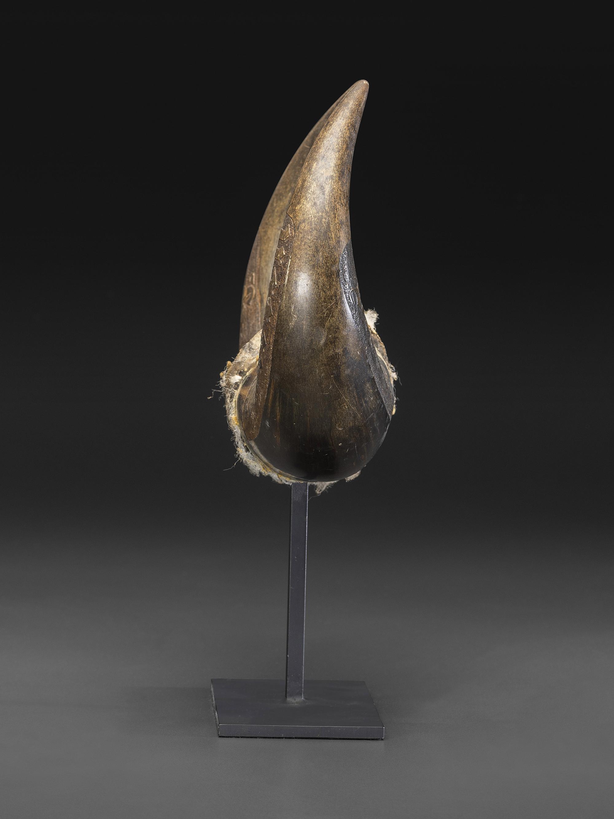 A Pair of Montana Prisoner Folk Art Carved Bison Horns
