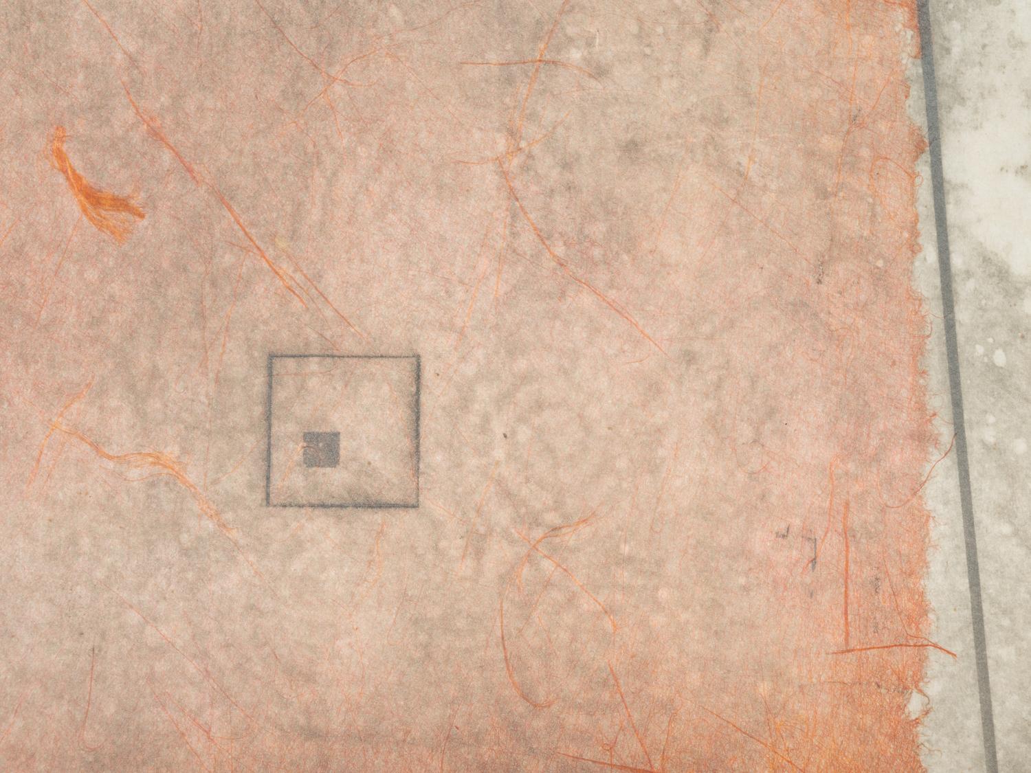 Flesh Box Interior #2, and Cancel, Cancel, Cancel #4 (Pair of Works), 1981 and 1983