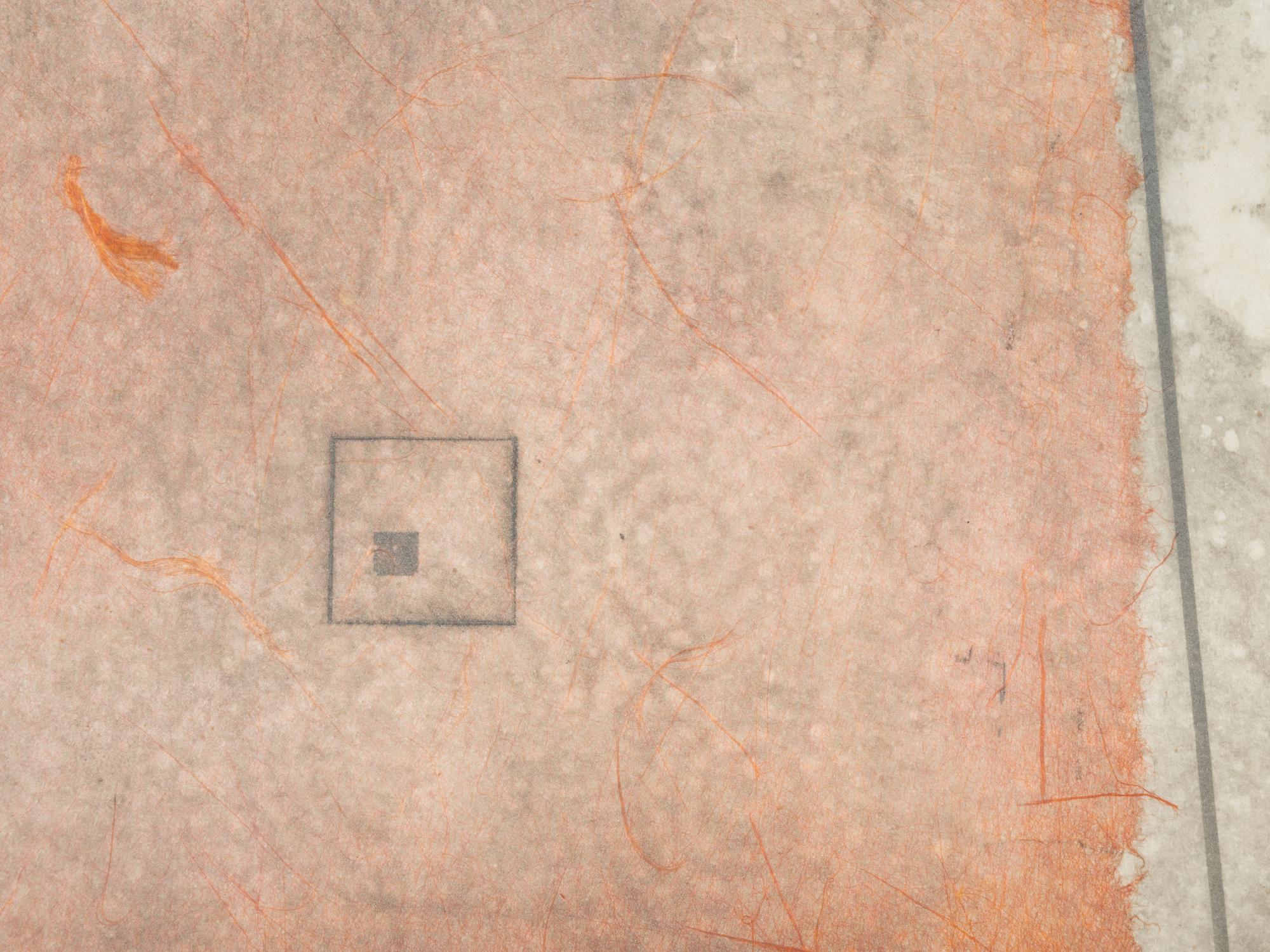 Flesh Box Interior #2, and Cancel, Cancel, Cancel #4 (Pair of Works), 1981 and 1983