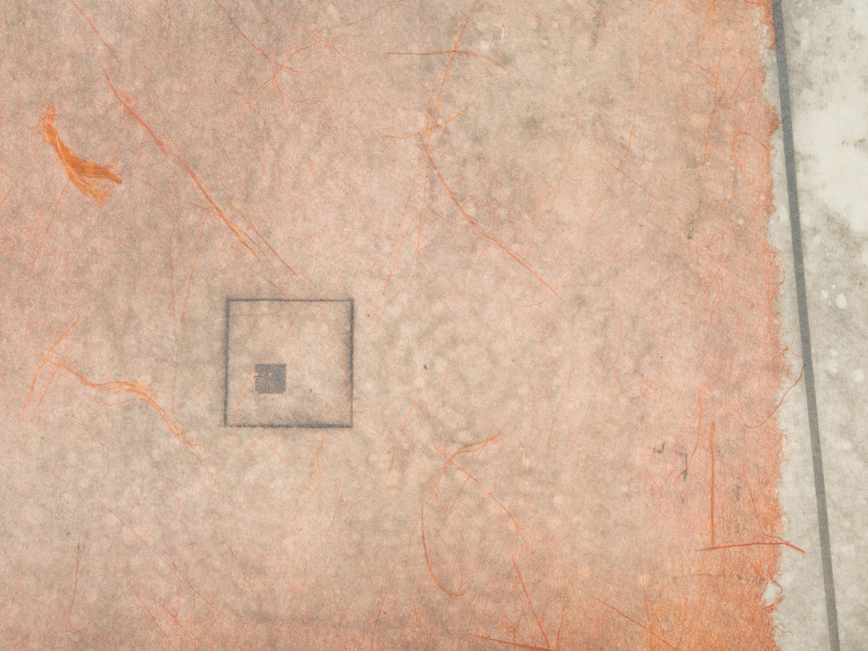 Flesh Box Interior #2, and Cancel, Cancel, Cancel #4 (Pair of Works), 1981 and 1983