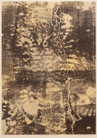 Six Works from Les Phénomènes