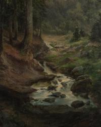 Forest Serenity