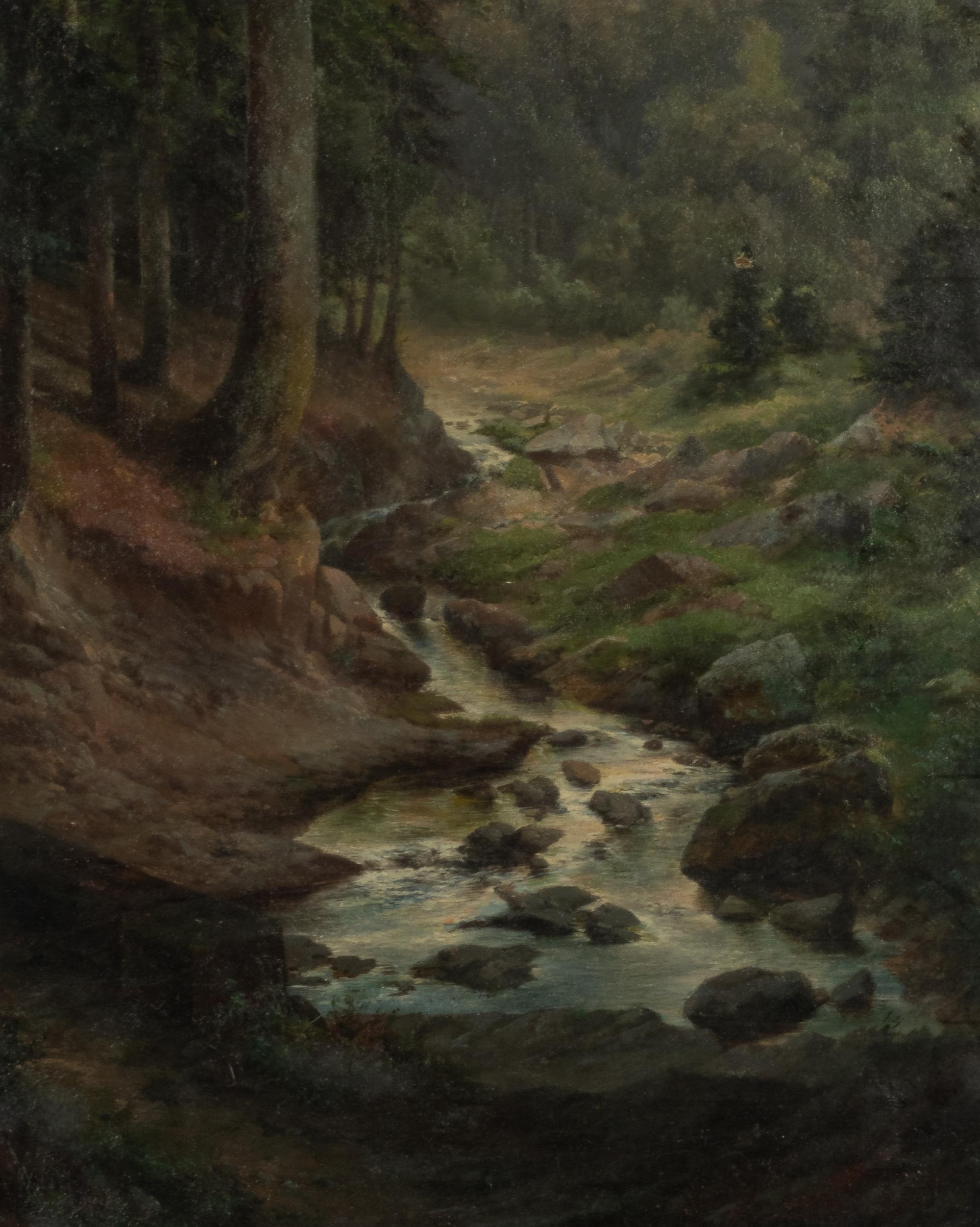 Forest Serenity