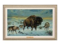 The Buffalo Wolves