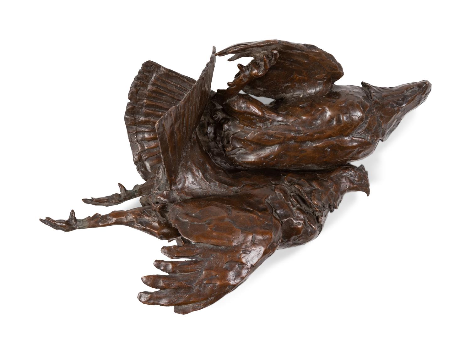 Mountain Grouse
