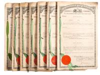 [OHIO] -- [SCIENCE & INDUSTRY]. APPLE, Vincent G. (1874-1932). Collection related to prolific Dayton-area inventor and automotive pioneer Vincent Groby Apple.