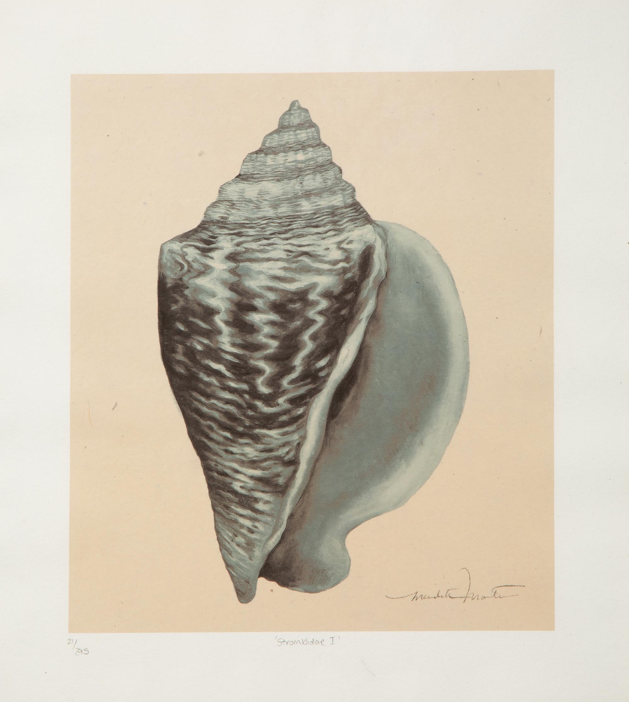 A Set of Four Decorative Nautilus Prints in Mirrored Frames — 20TH CENTURY