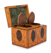 A George III Satinwood and Tortoiseshell Tea Caddy