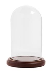 An American Glass Display Dome Height 7 1/2 inches.