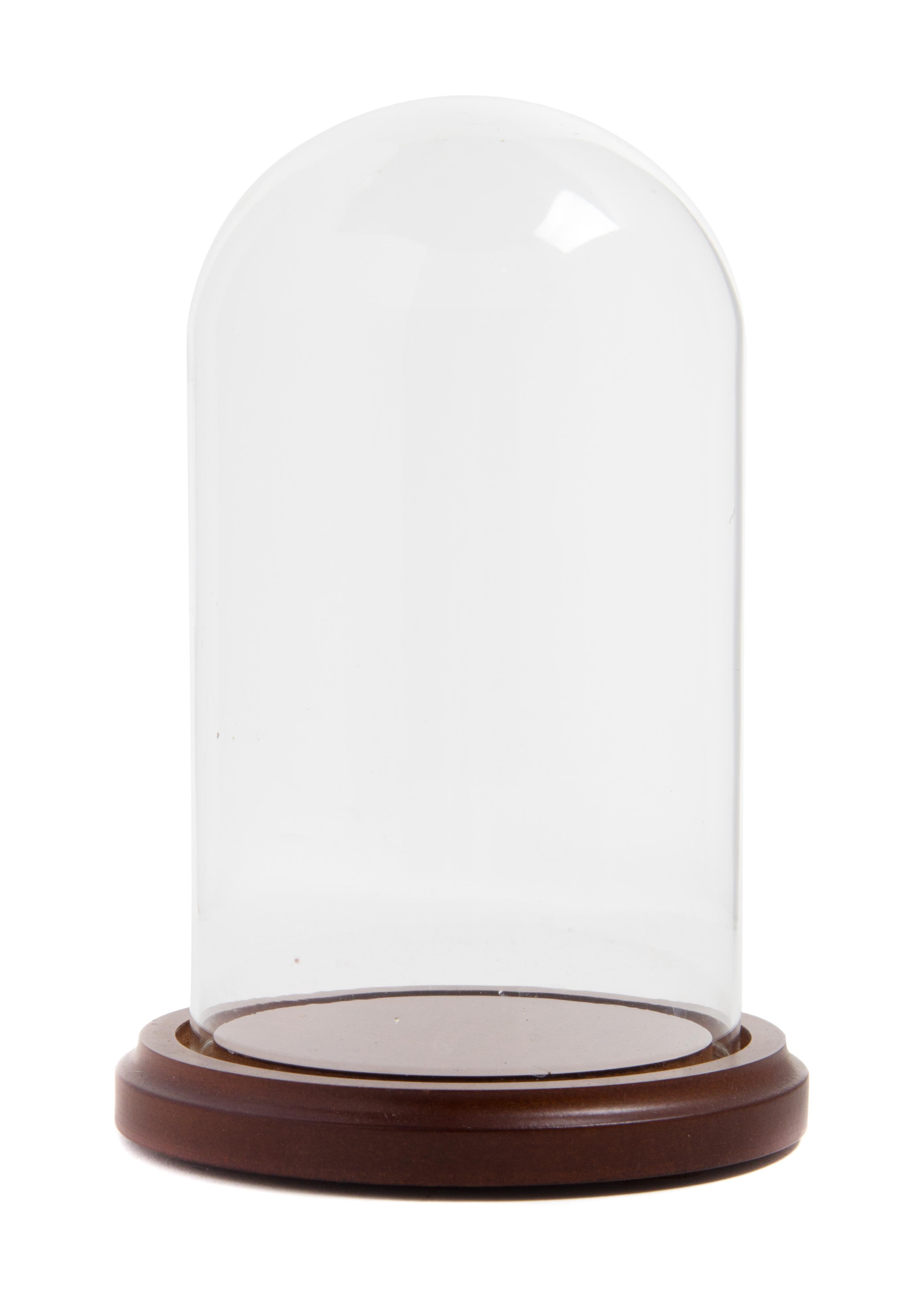 An American Glass Display Dome Height 7 1/2 inches.