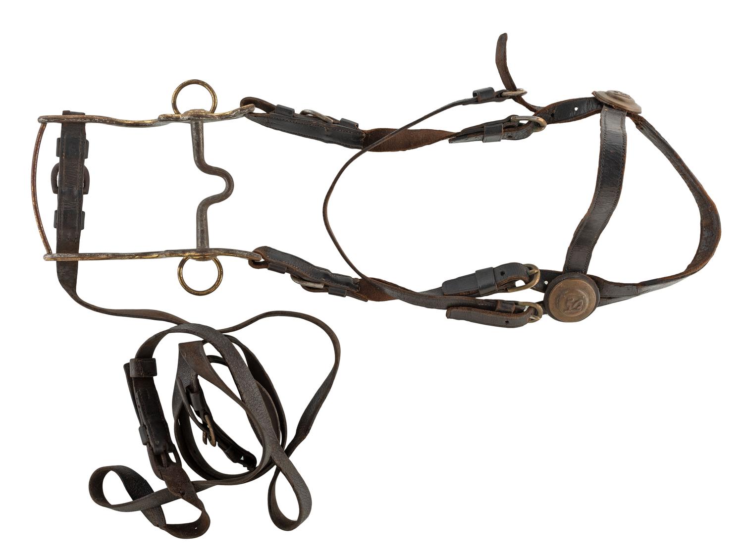 [CIVIL WAR]. Artillery bit, bridle, and reins with horse brush and saddle bags.