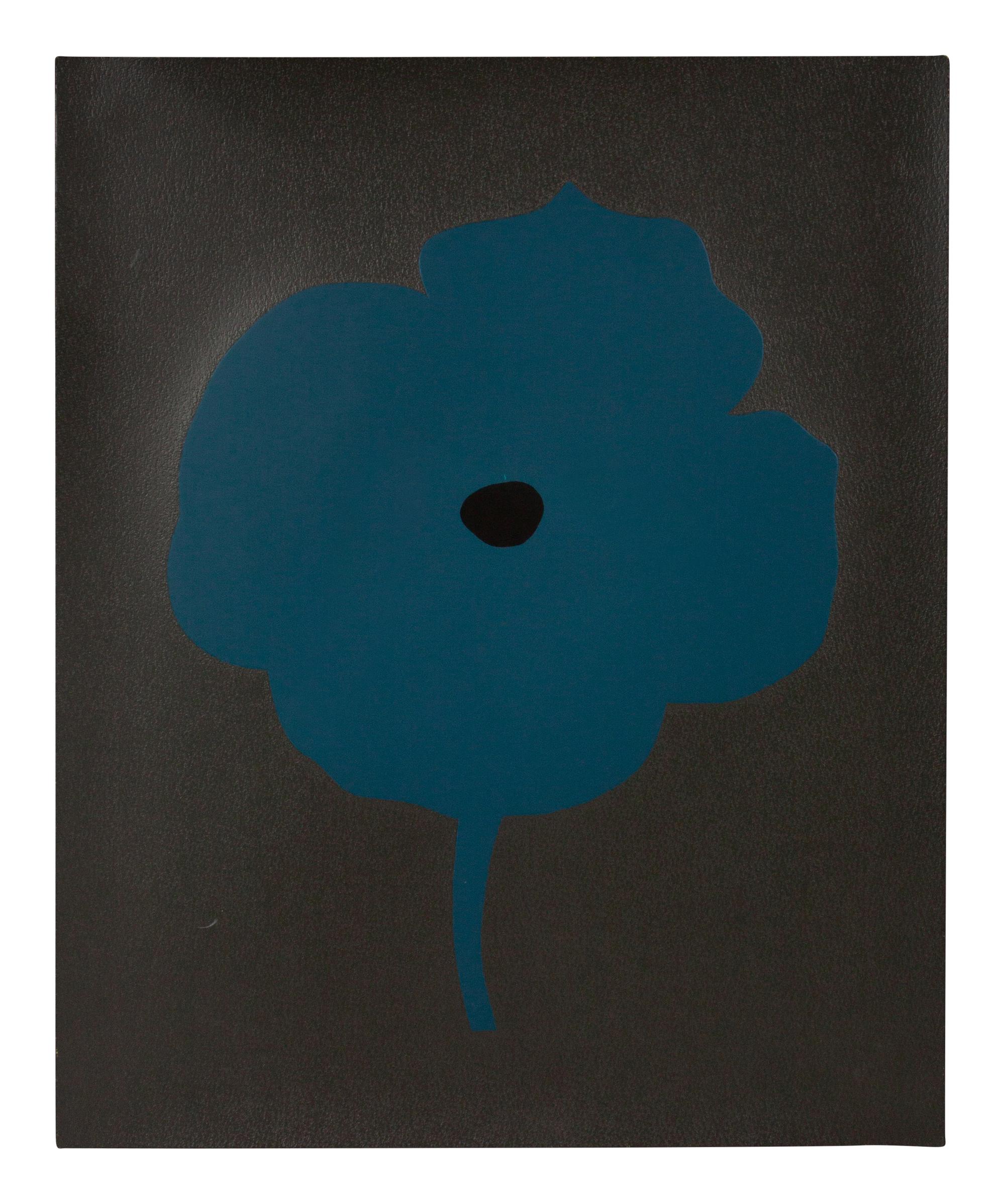 12 Colors (complete set of 12), 2007