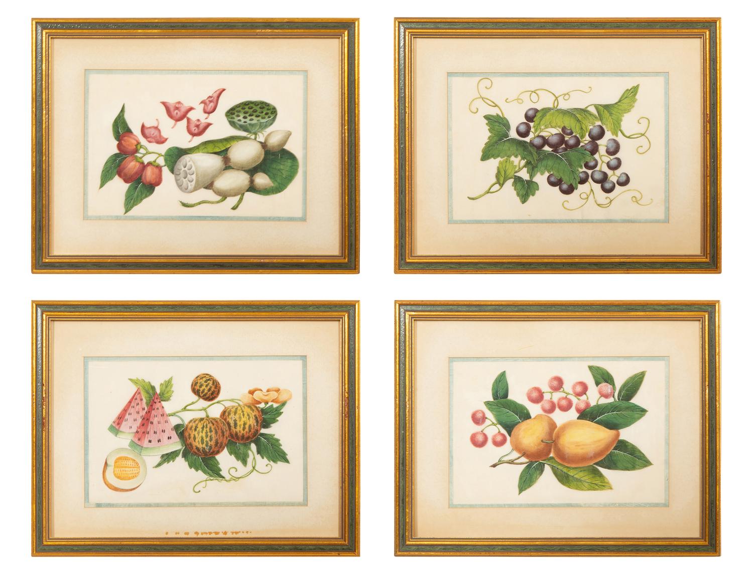 Four Chinese Watercolor and Gouache Pith Paintings of Exotic Fruit