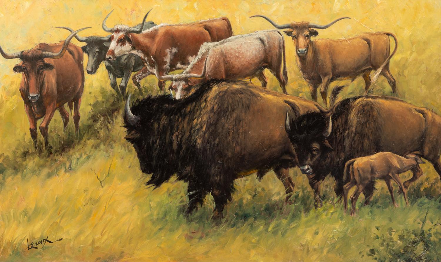 Coming of the Longhorn