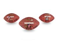 A Group of Three Chicago Bears Hall of Fame Signed Autograph Wilson Official Game Footballs Including Gale Sayers (Beckett Authentication Services BAS Certified),