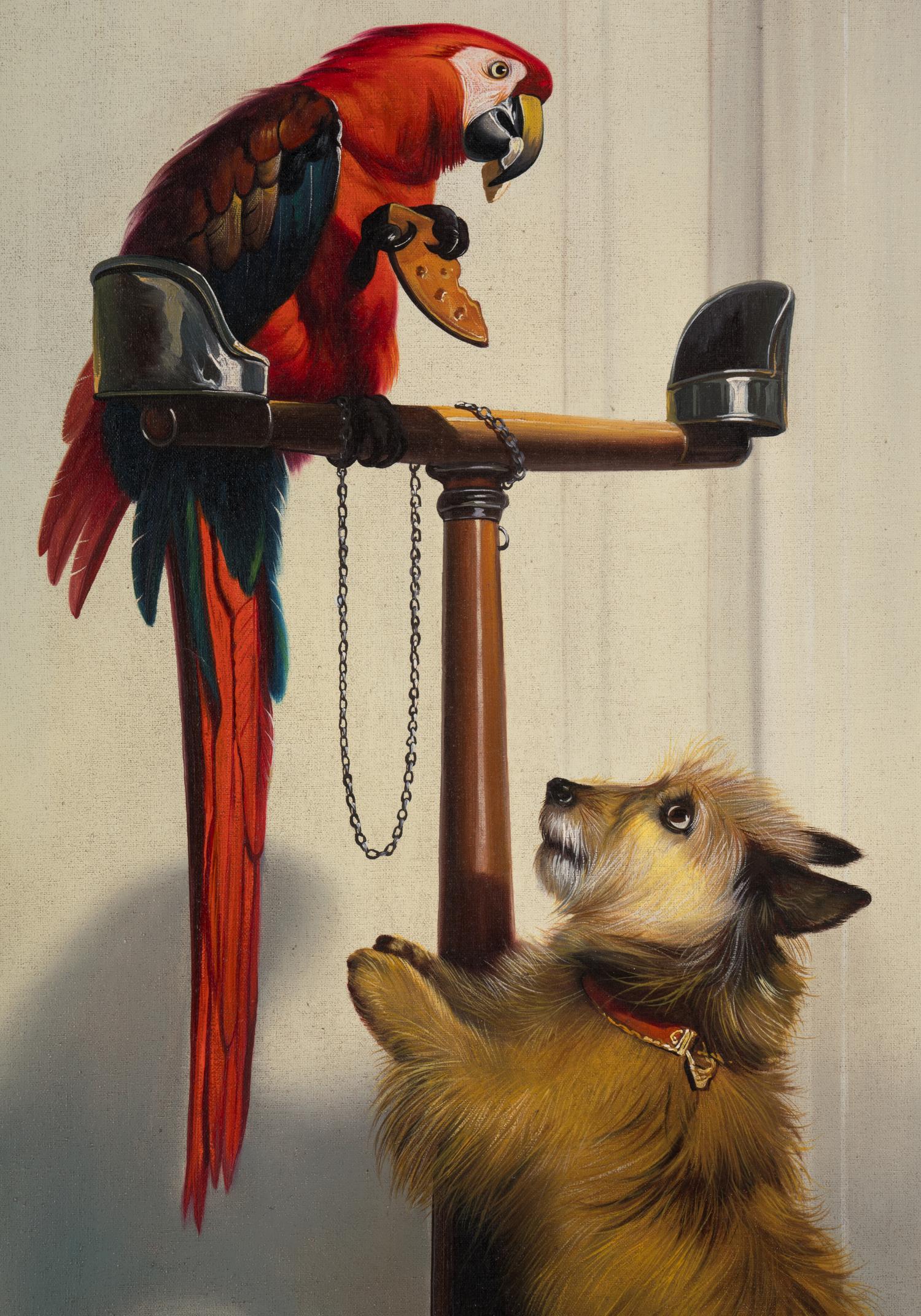 Islay, Tilco, a Macaw, and Two Lovebirds
