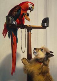 Islay, Tilco, a Macaw, and Two Lovebirds