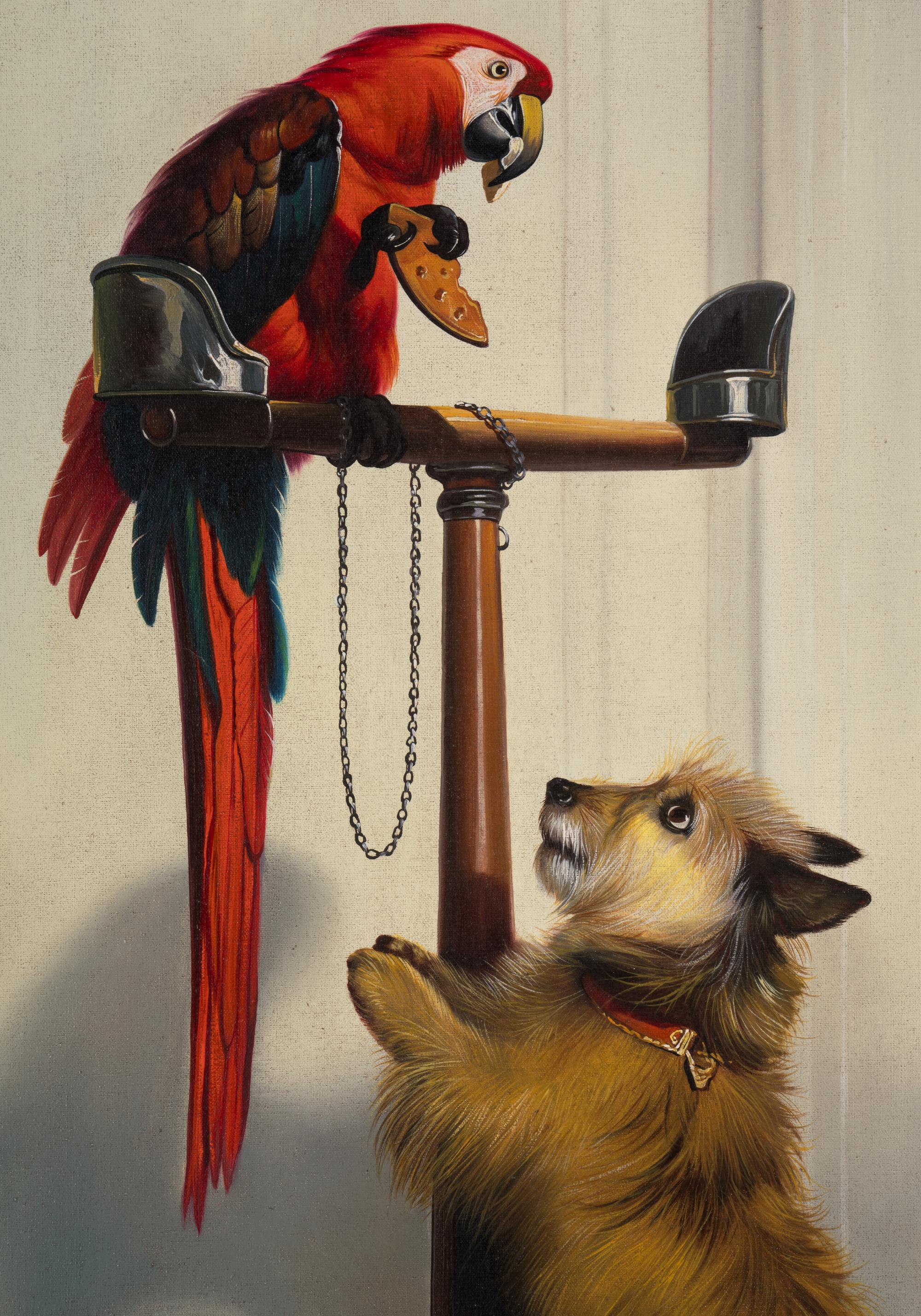 Islay, Tilco, a Macaw, and Two Lovebirds