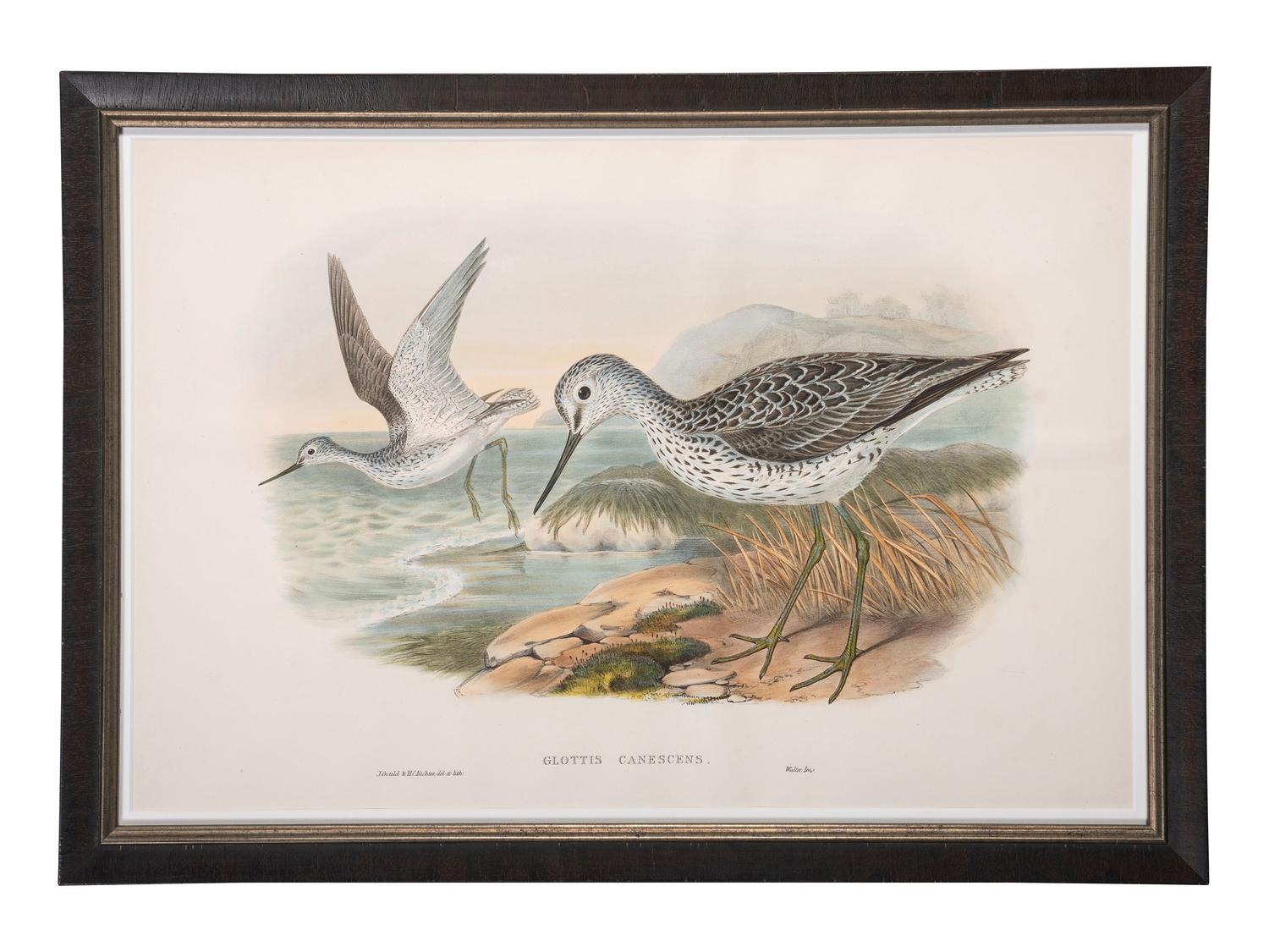 Eight Framed Avian Prints