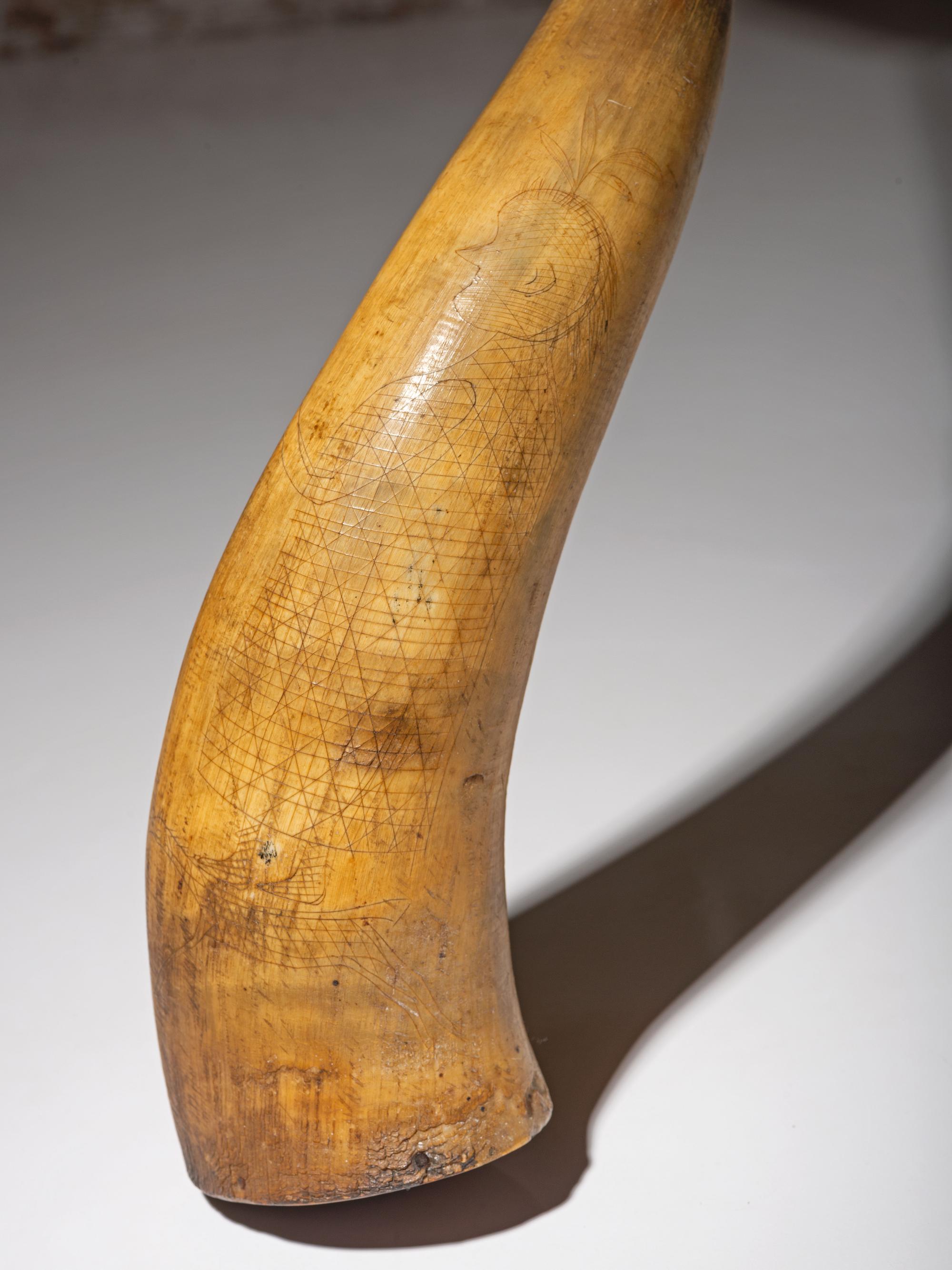 Great Lakes Incised Powder Horn
