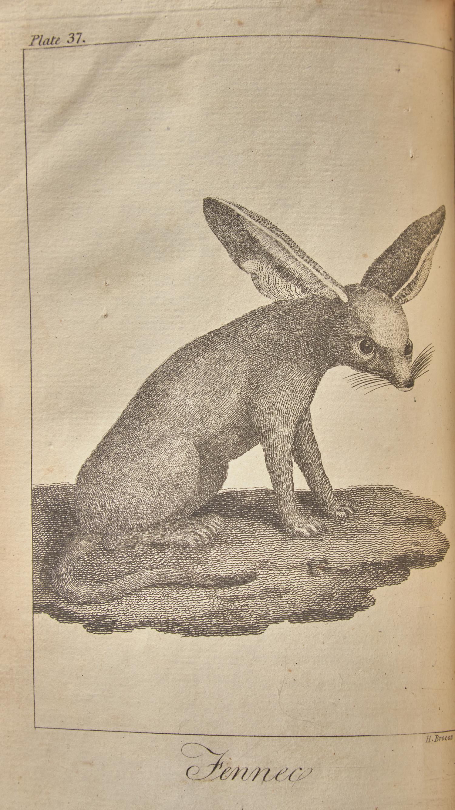 [TRAVEL & EXPLORATION] BRUCE, James. Travels to Discover the Source of the Nile... Dublin: Printed by William Sleater, For P. Wogan, L. White, P. Byrne, et al., 1790.