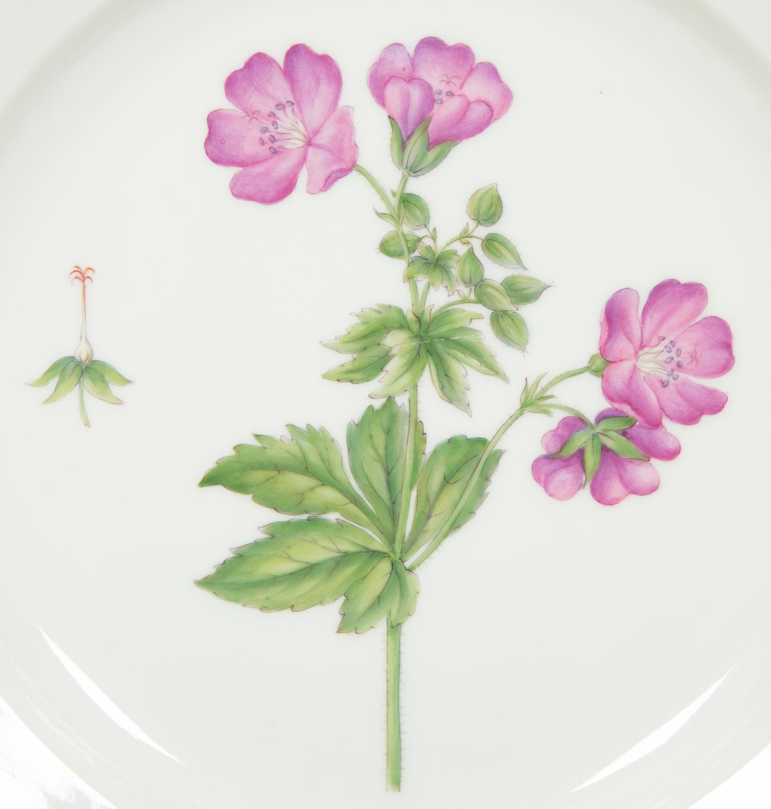 Thirteen Royal Copenhagen Flora Danica Porcelain Luncheon Plates