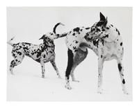 A Group of Four Works depicting dogs, 1958-65; printed ca. 1958-65