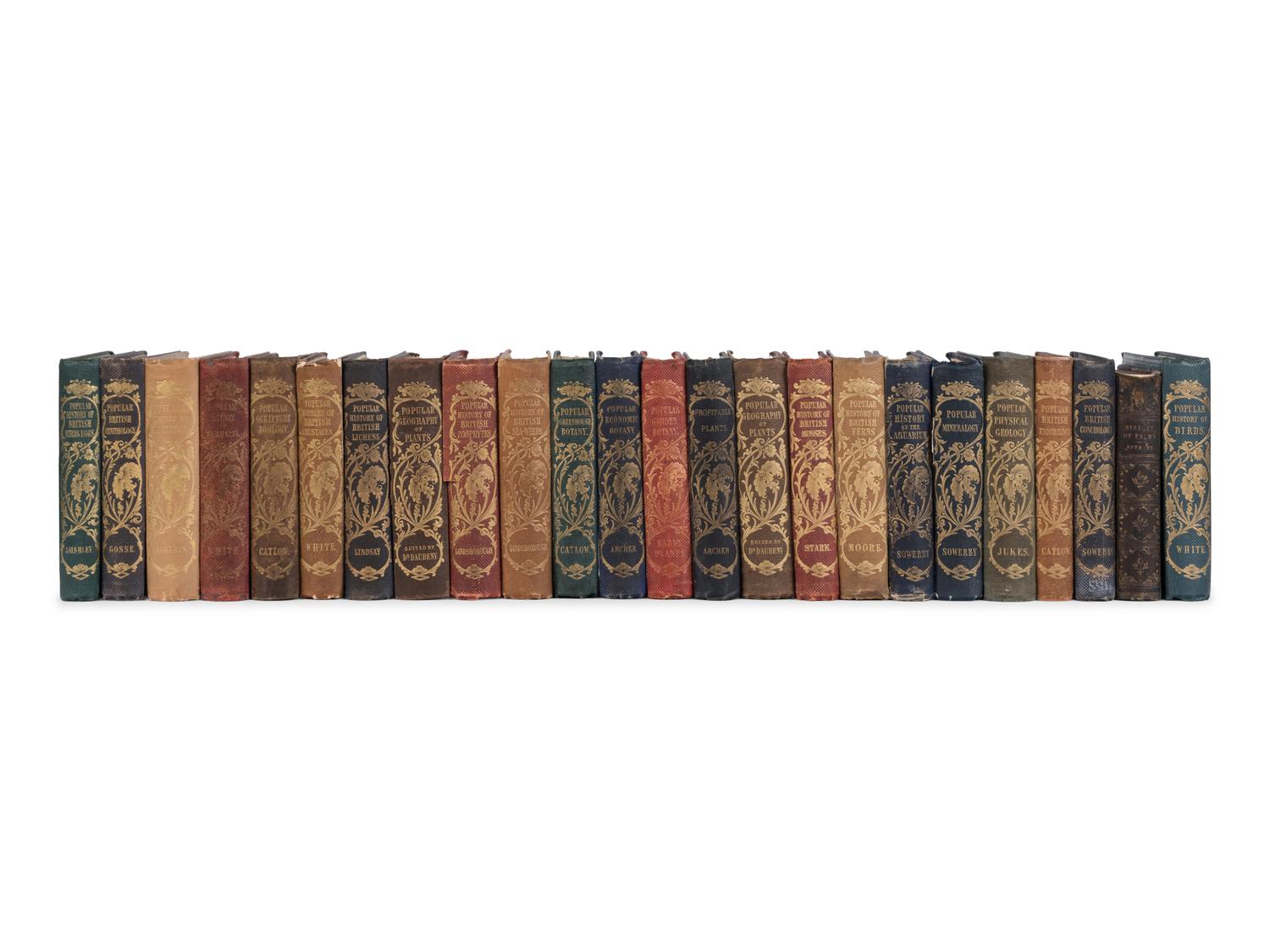 [NATURAL HISTORY] -- [REEVE, Lovell Augustus (1814-1865), publisher]. [Popular Natural History series]. London: Reeve, 1848-1858.