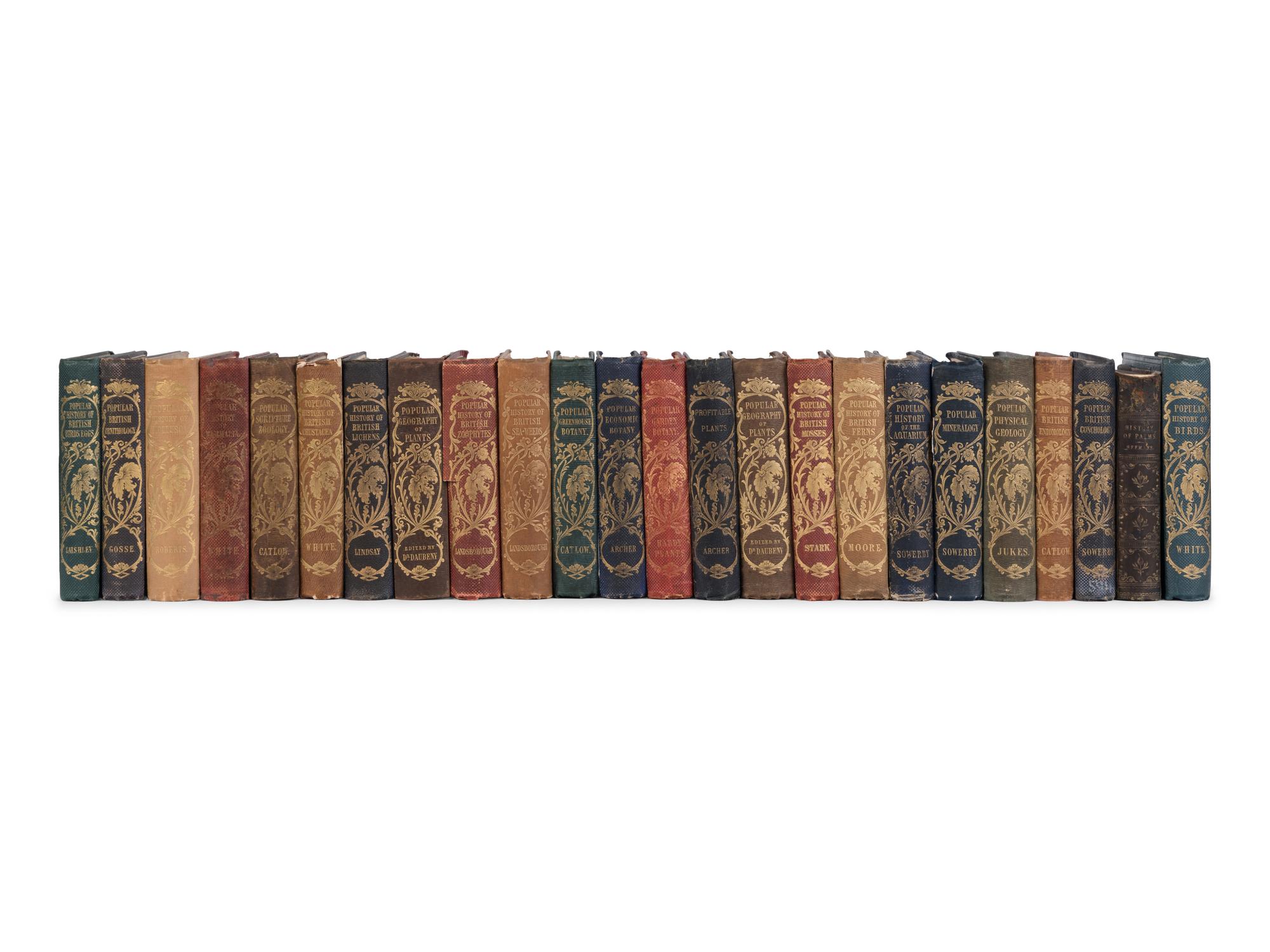 [NATURAL HISTORY] -- [REEVE, Lovell Augustus (1814-1865), publisher]. [Popular Natural History series]. London: Reeve, 1848-1858.