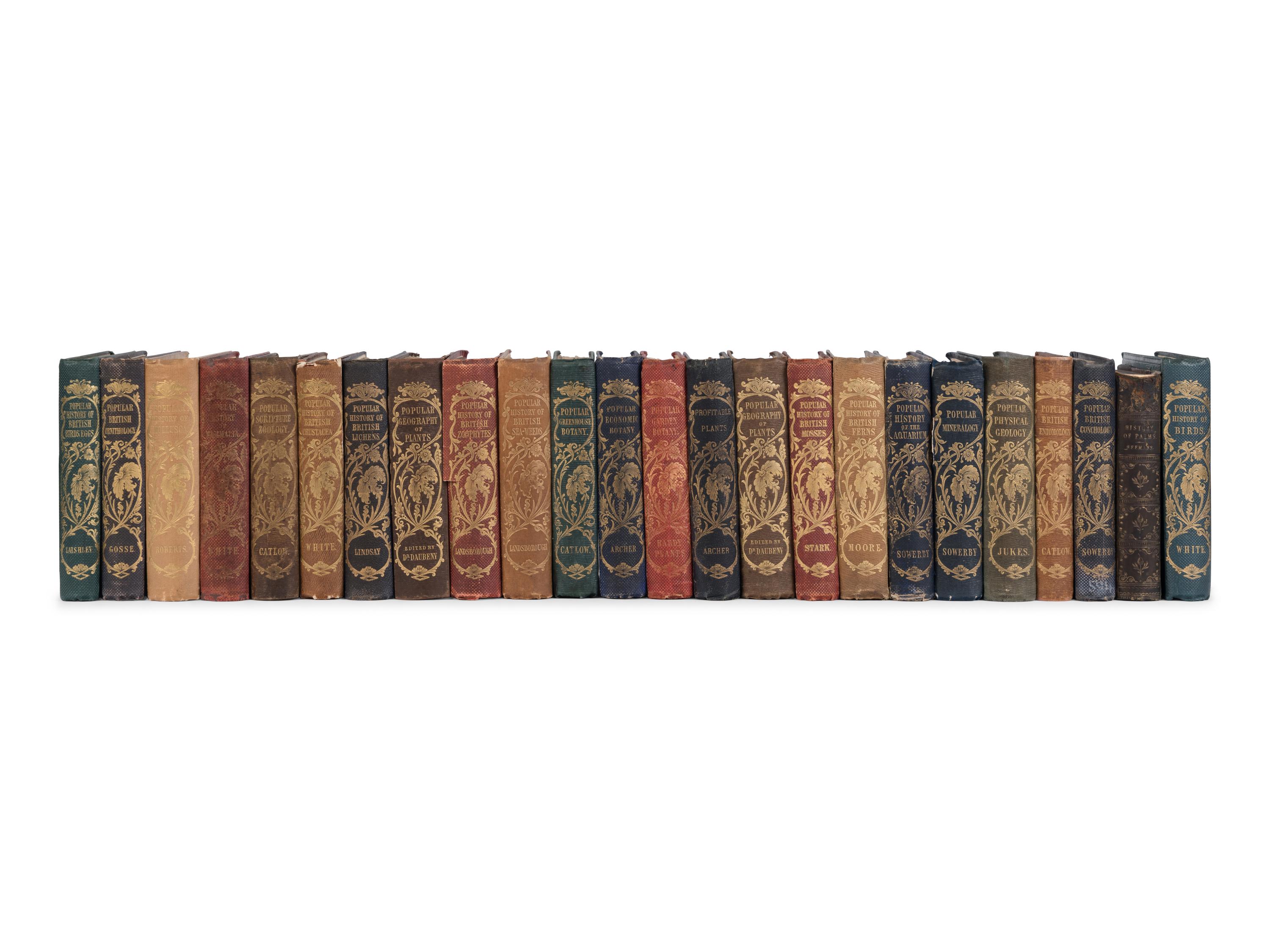 [NATURAL HISTORY] -- [REEVE, Lovell Augustus (1814-1865), publisher]. [Popular Natural History series]. London: Reeve, 1848-1858.